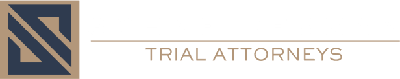 Schneiderman Trial Attorneys logo